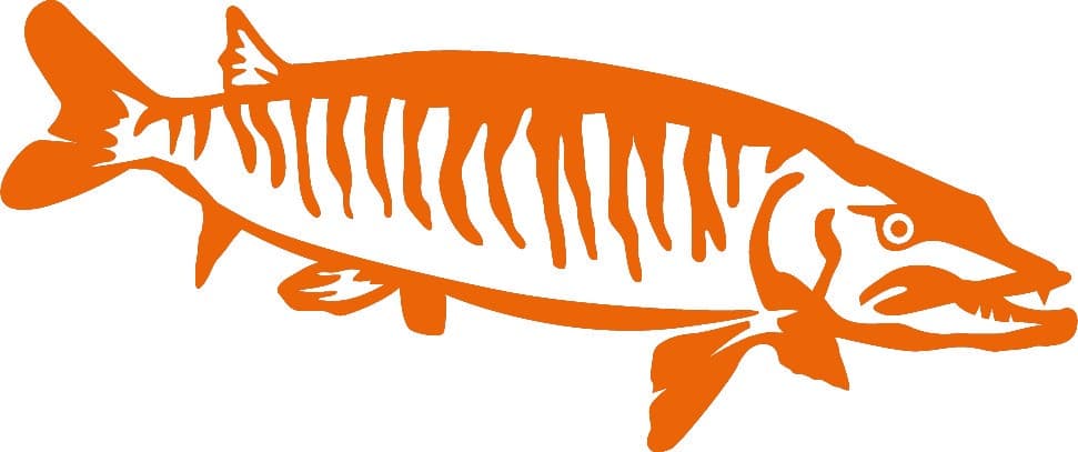Muskellunge